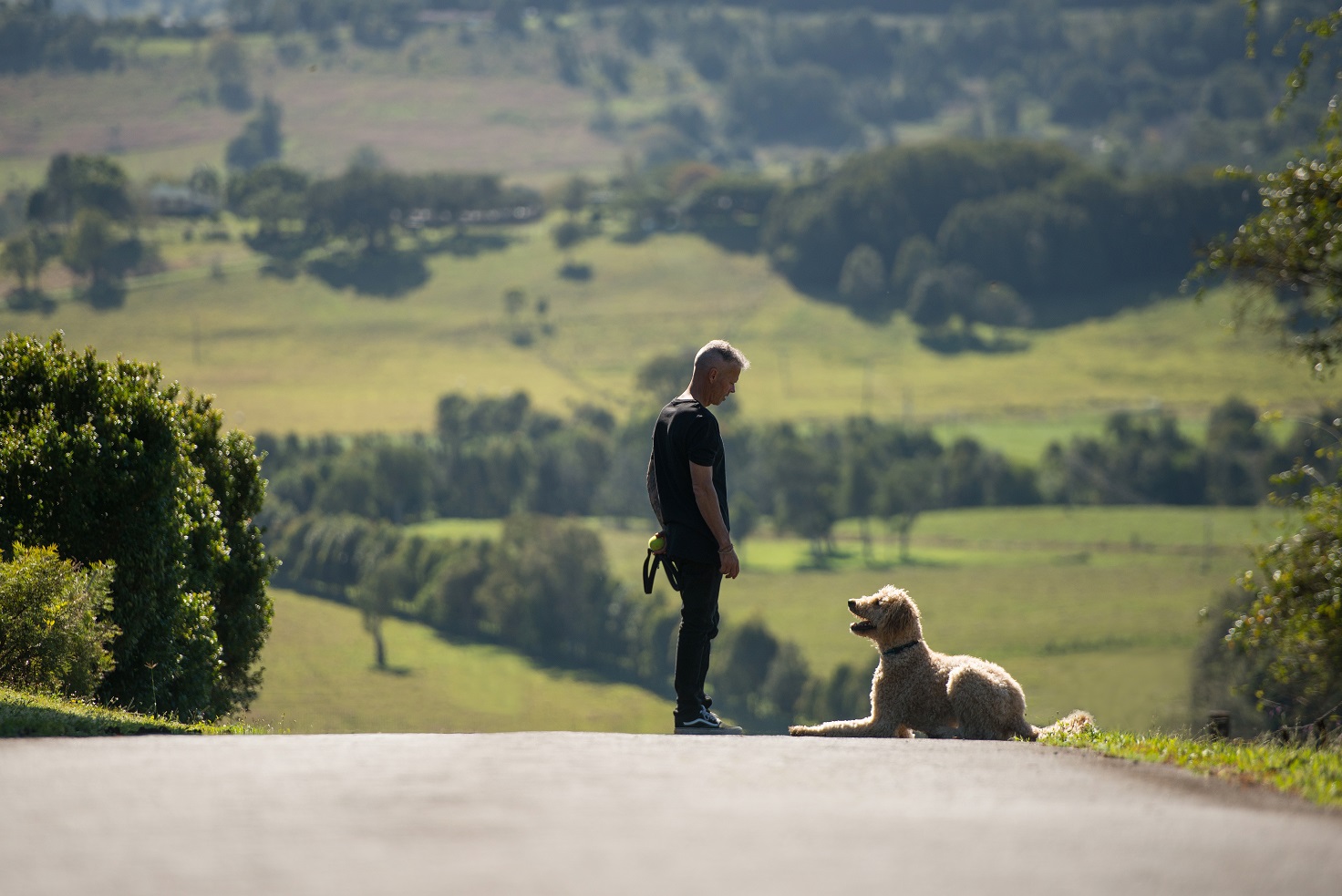 Dogs_Connect_web