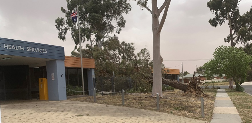 Tree_down_Eaglehawk_November_2019_web