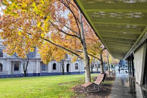 Bendigo Library gardens