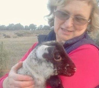 Sue Harkins animals are popular with the children she cares for.